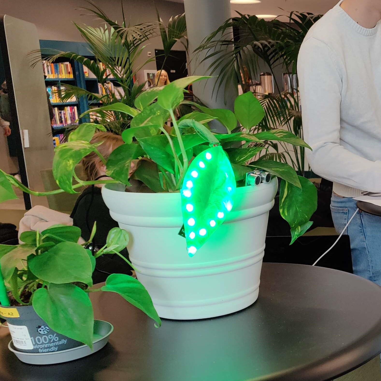 GloLeaf stem and pot