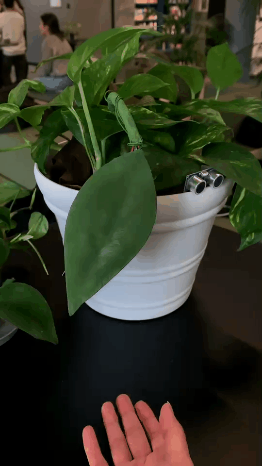 GloLeaf interactive behavior