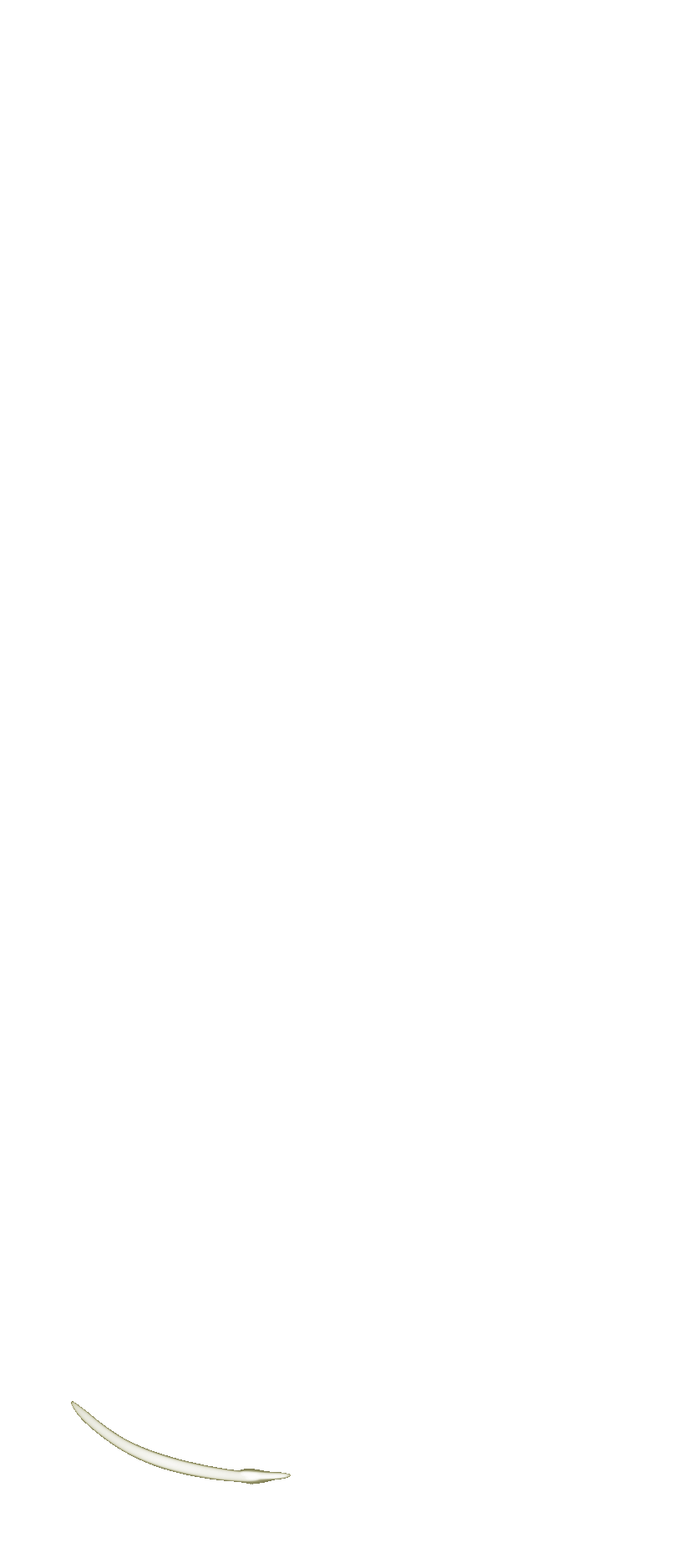 Character animation 6